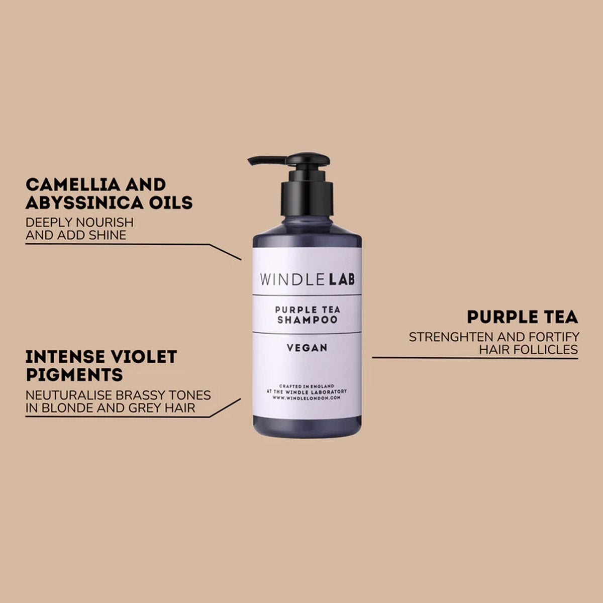 Windle Lab Purple Tea Shampoo bottle with text on a beige background